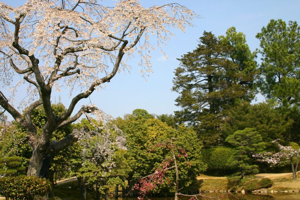 衆楽園 園内の風景